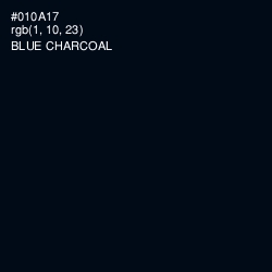 #010A17 - Blue Charcoal Color Image
